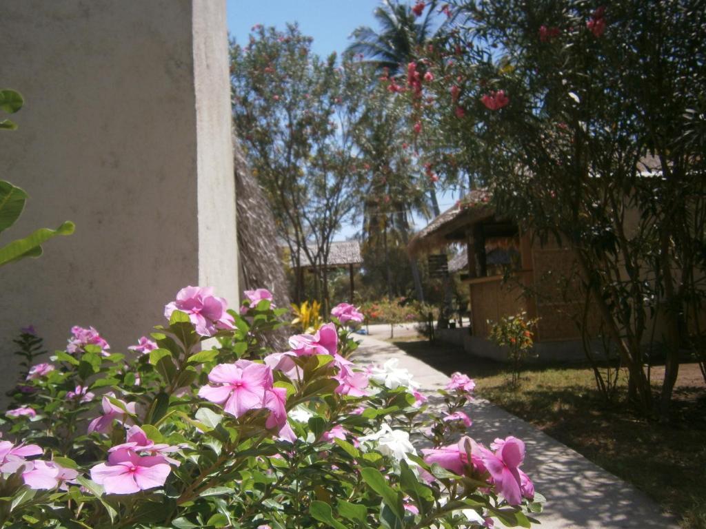 Gili Garden Bungalow Gili Meno Exterior photo